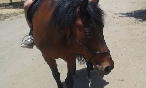 Pacific Coast Fence & Drilling