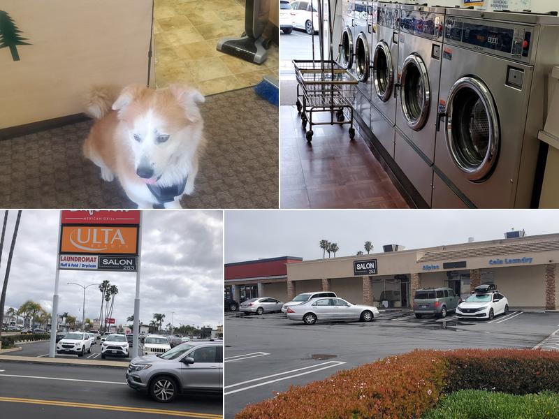 Alpine Cleaners and Laundromat