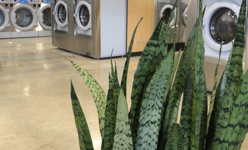 Lucy's Laundry Costa Mesa