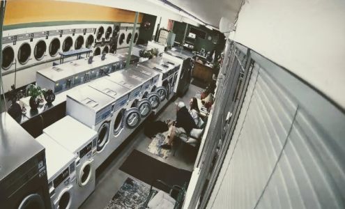 Wife Savor Laundromat