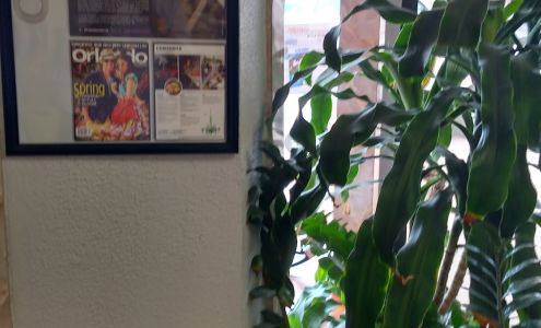 Hungs Custom Made Tailors