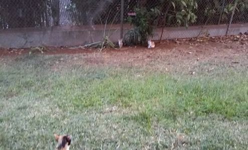 Up-To-Date Cleaners Kauai, Inc. 3145 Hikina Rd, Koloa Hawaii 96756