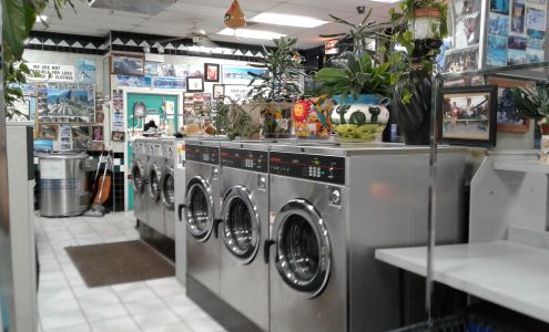 Mahmood coin laundry Quick Wash