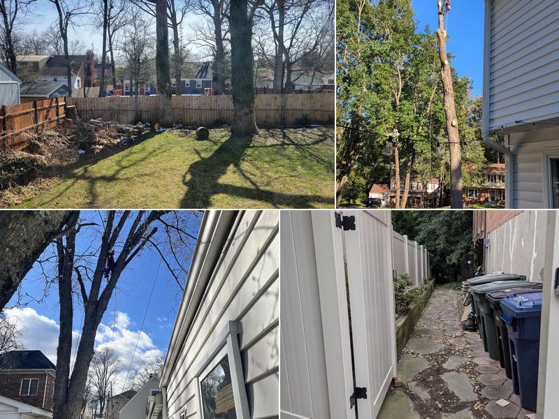 Stringfellow's Tree Service