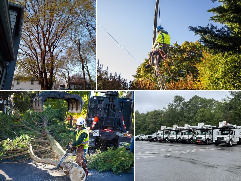 North Eastern Tree Service