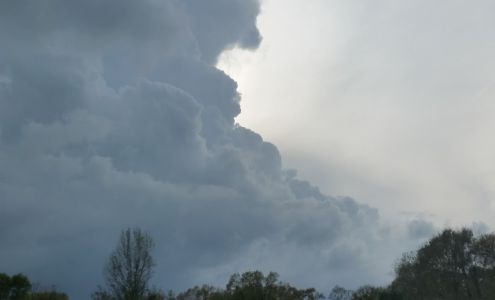 Dry Clean Super Center