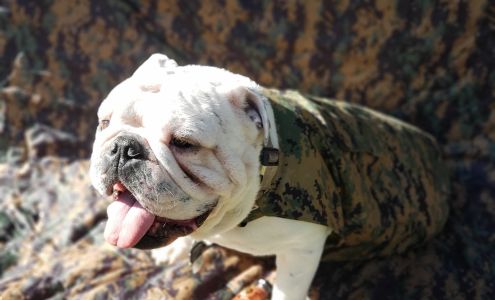 Jenny's Tailoring 330 Potomac Ave, Quantico Virginia 22134