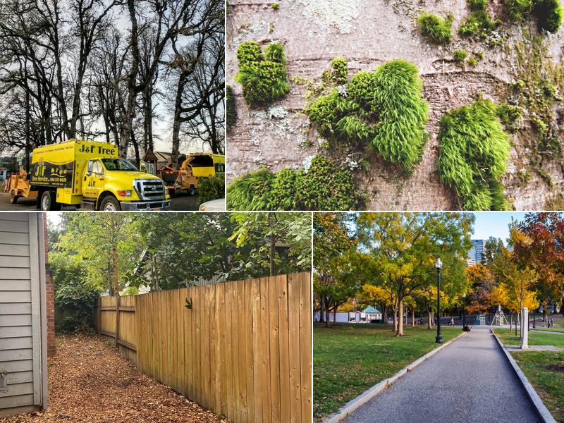 J & F Tree Service Inc