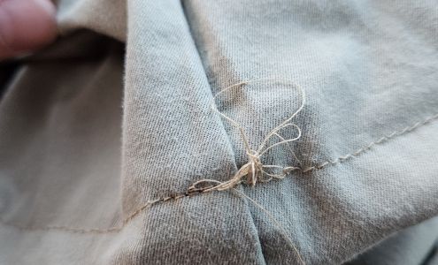 Alpena Dry Cleaning Co