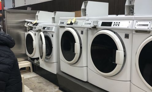 Owl Laundromats