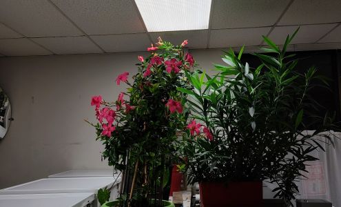 Campbell Laundry Shop