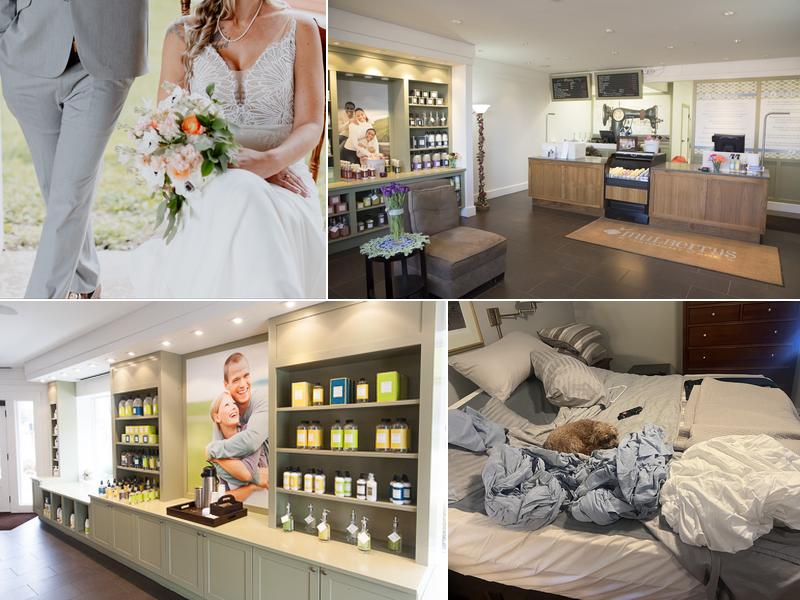 Mulberrys Dry Cleaners and Laundry