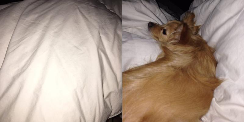 C & R Cleaners & Laundry