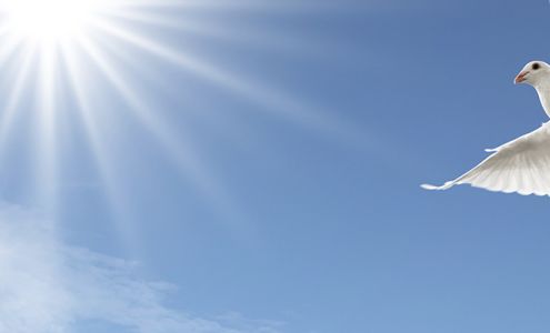 Spry Funeral Home and Crematory