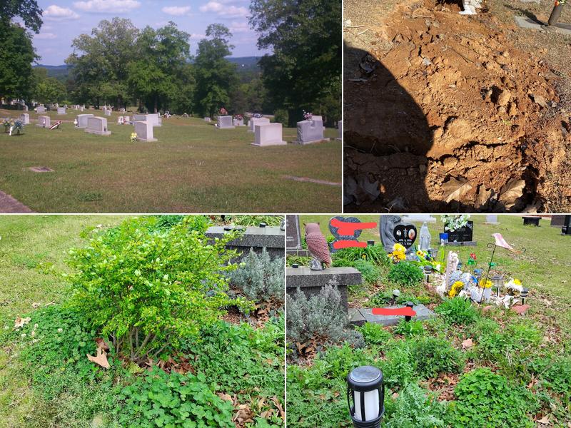 Ridout's Forest Crest Cemetery