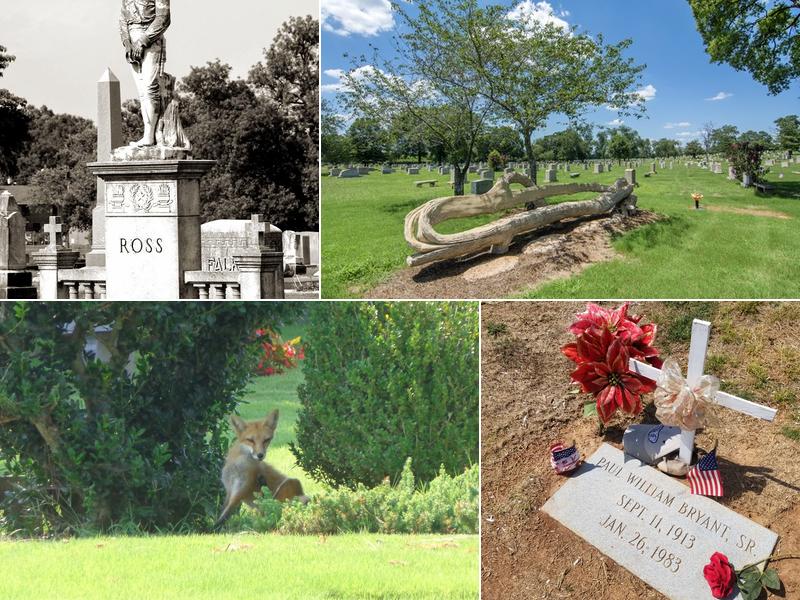 Elmwood Cemetery & Mausoleum