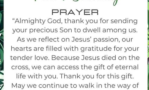 Lavender Funeral Home 11233 AL-17, Aliceville Alabama 35442