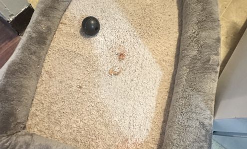 Capital Laundry & Textile Service