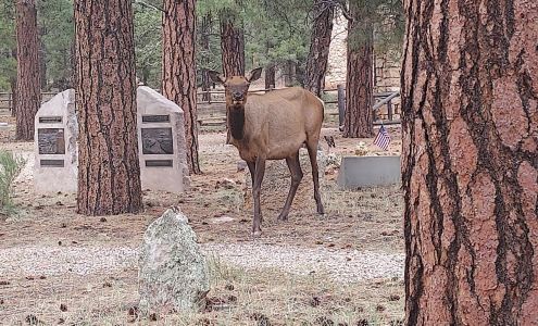 Grand Canyon Pioneer Cemetery Grand Canyon Village