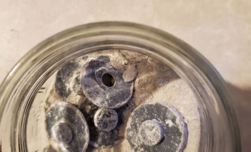 Sutton Memorial Funeral Home