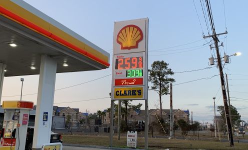 Shell D'Iberville