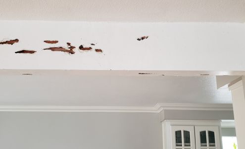 Desert Sand Handyman