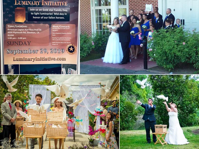 Wings of Love Ceremonial Dove Release