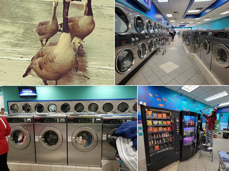 Splish Splash Laundromat