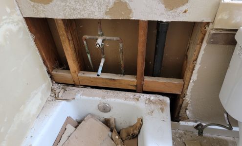 SURROGATE HUSBANDS INCORPORATED