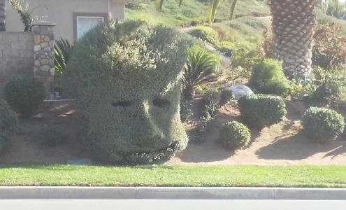 Berts Handyman Services