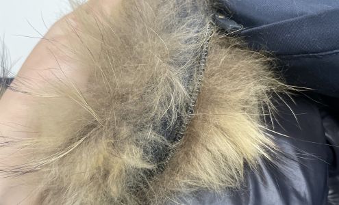 Grove Pointe Cleaners