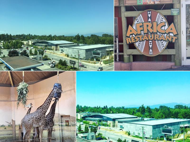 Metro-Can Construction Ltd