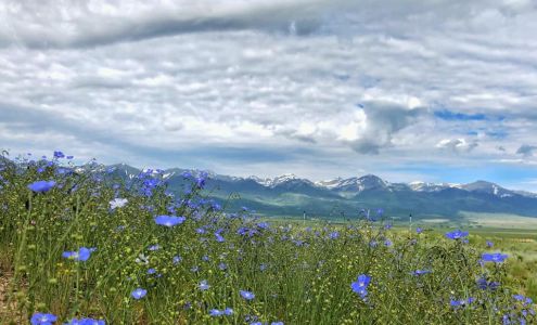Forever Wildflowers, Inc. Westcliffe