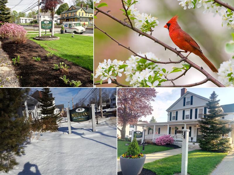 Mulhane Home For Funerals