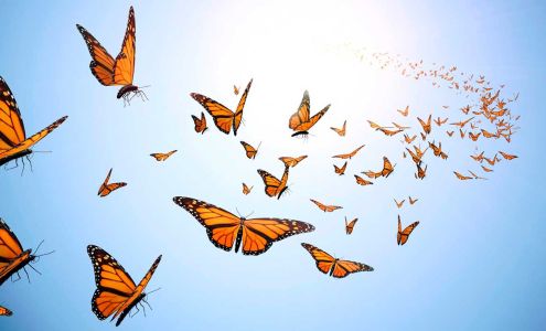 Altman-Long Funeral Home