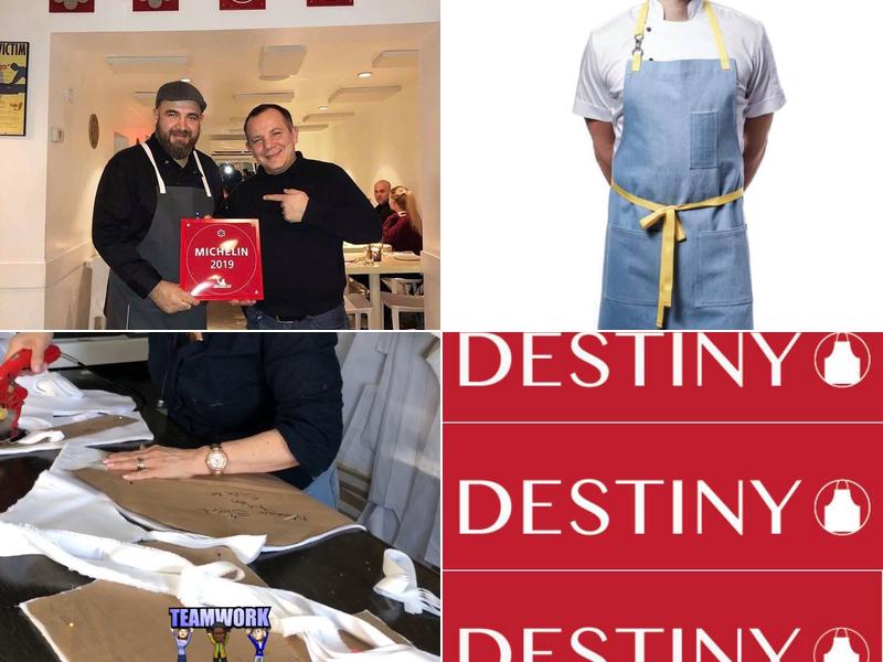 Destiny Apron