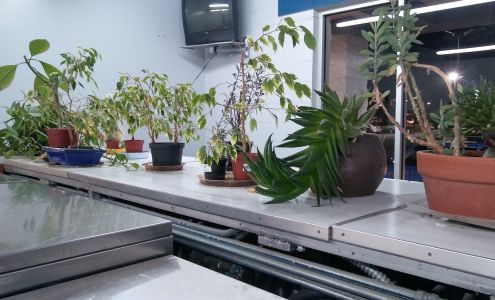 Coastal Garment Care Center