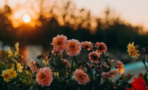 Northside Chapel Funeral Directors and Crematory