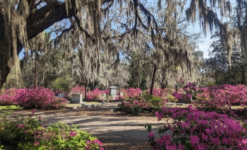 Bonaventure Cemetery 330 Bonaventure Rd, Thunderbolt Georgia 31404