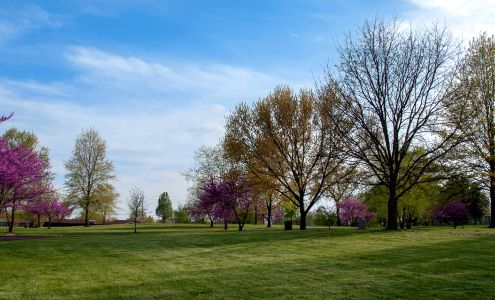 New Mount Sinai Cemetery Affton