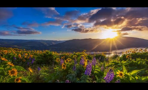 Park Lawn Funeral Home