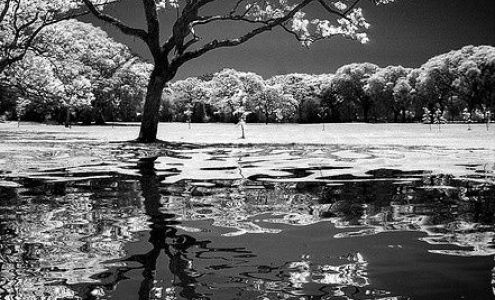 Reflections Memorial Services LLC