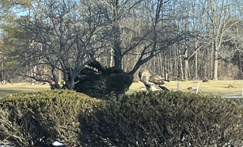 Brooklawn Memorial Park