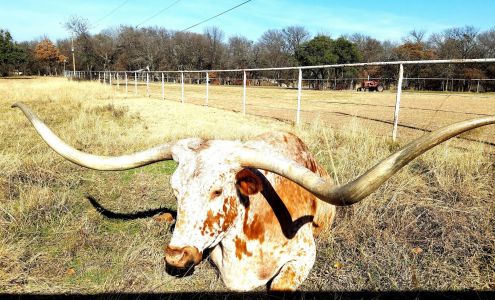 Dry Clean Supercenter