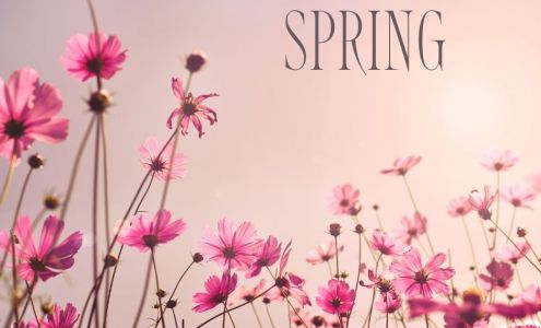 Wasik Funeral Home - Gendernalik Chapel