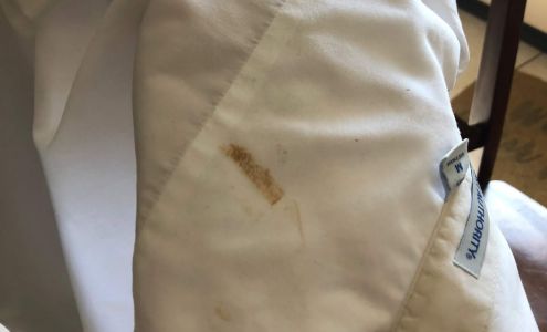 Professional Cleaners