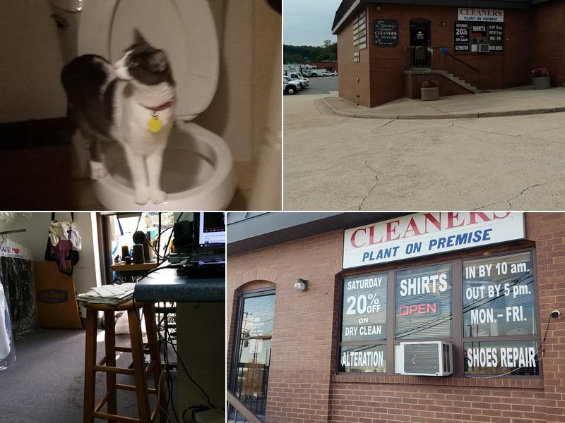 Sandy's Custom Cleaners Ltd