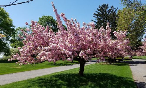 Northampton Memorial Shrine