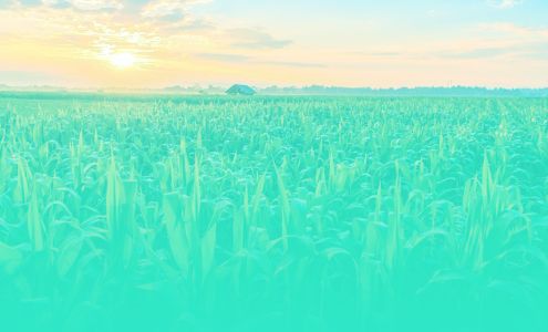 Millcreek Dry Cleaners