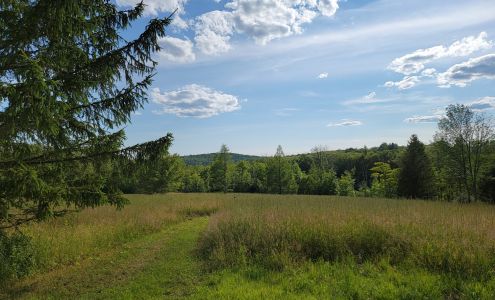 Greensprings Natural Cemetery 293 Irish Hill Rd, Newfield New York 14867